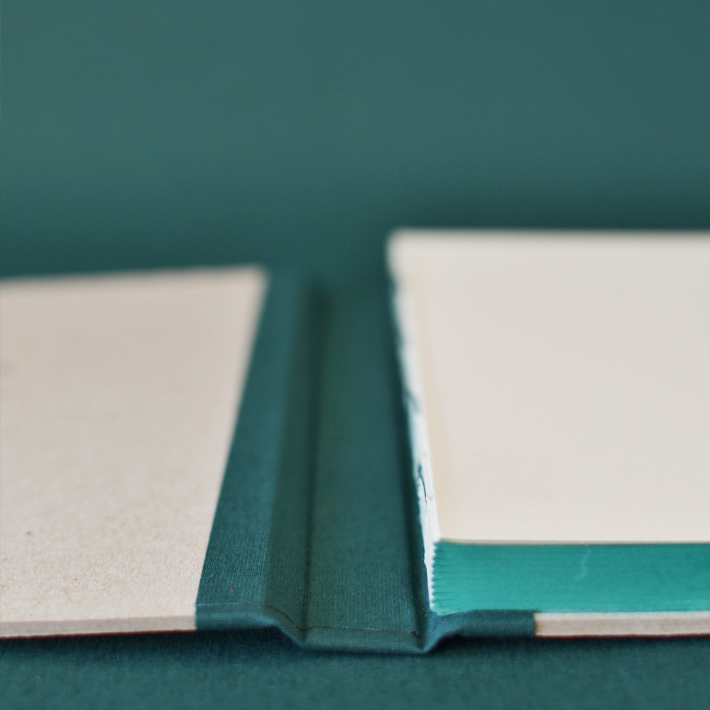 diary 2 beija-flor andré letria