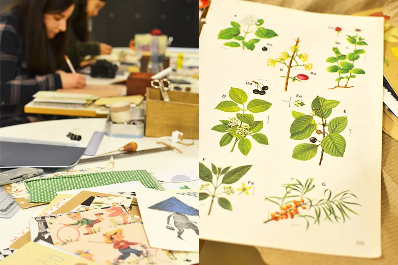 workshop beija-flor bruaá