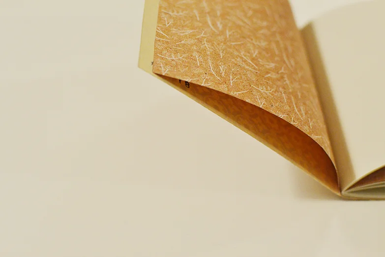 workshop beija-flor bruaa