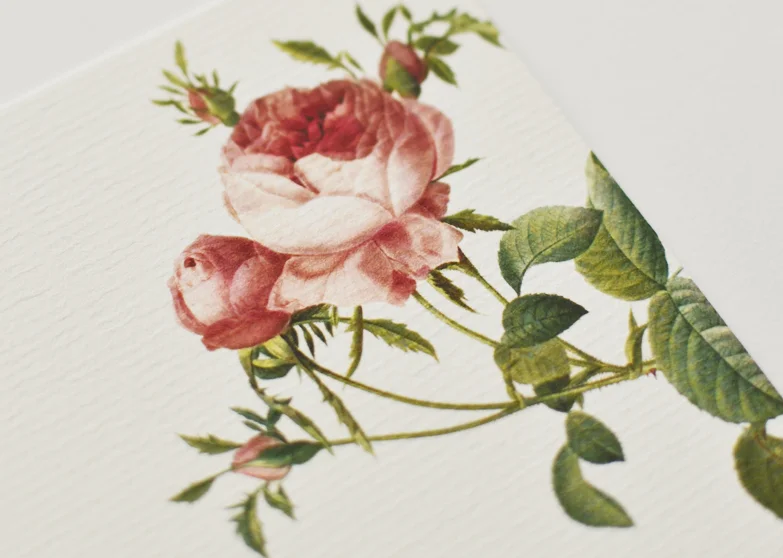 beija-flor estacionário personalizado