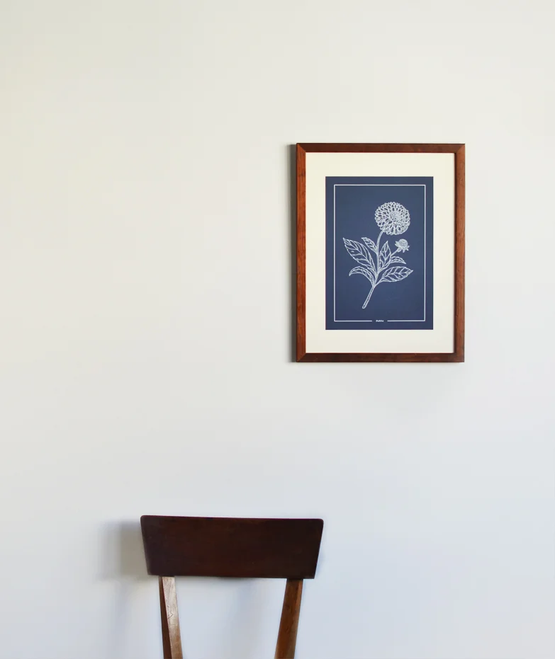 print beija-flor Dahlia