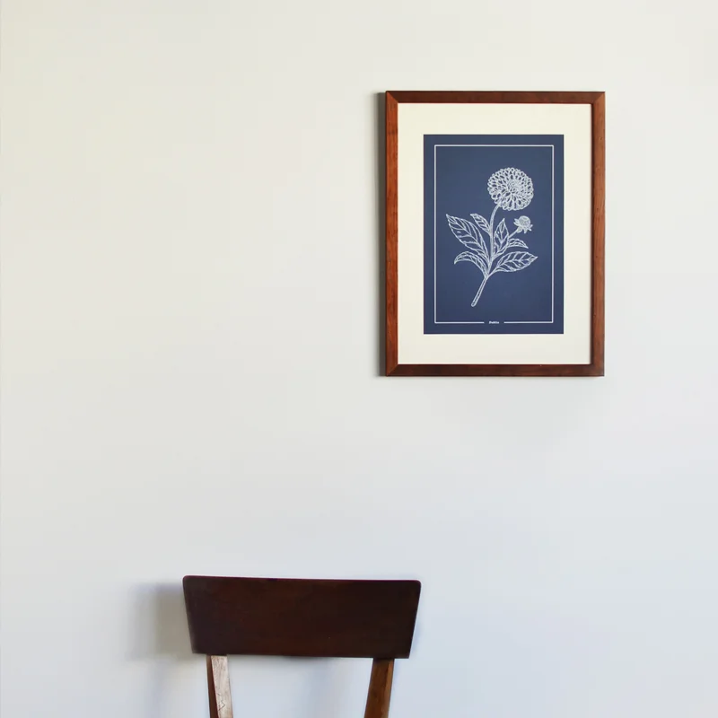 nosso-jardim-dahlia-pack