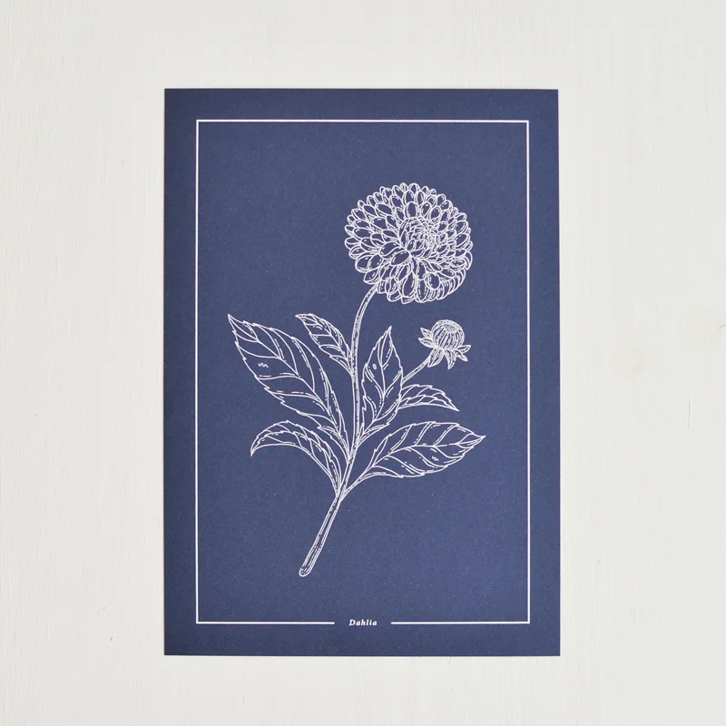 nosso-jardim-dahlia-pack