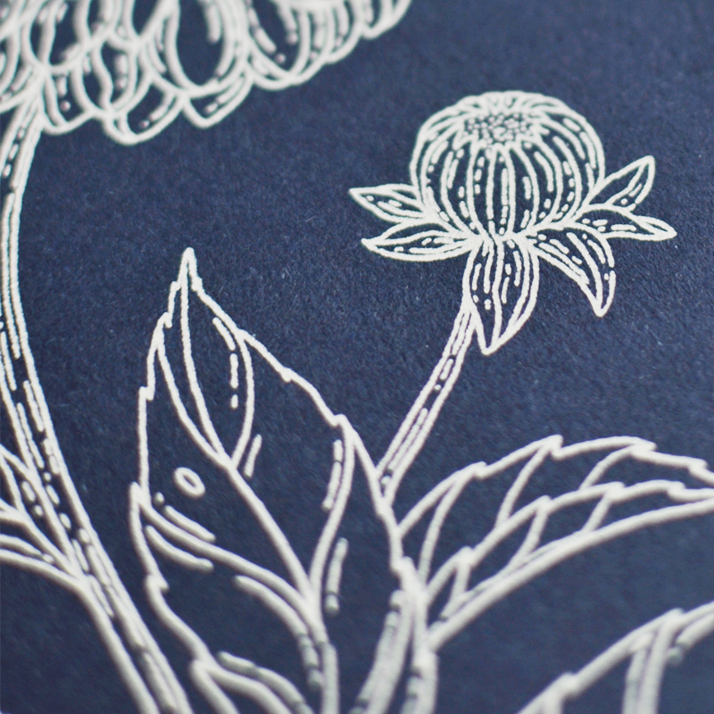 nosso jardim - notebook