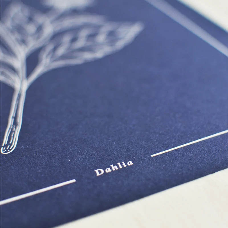 nosso jardim - print