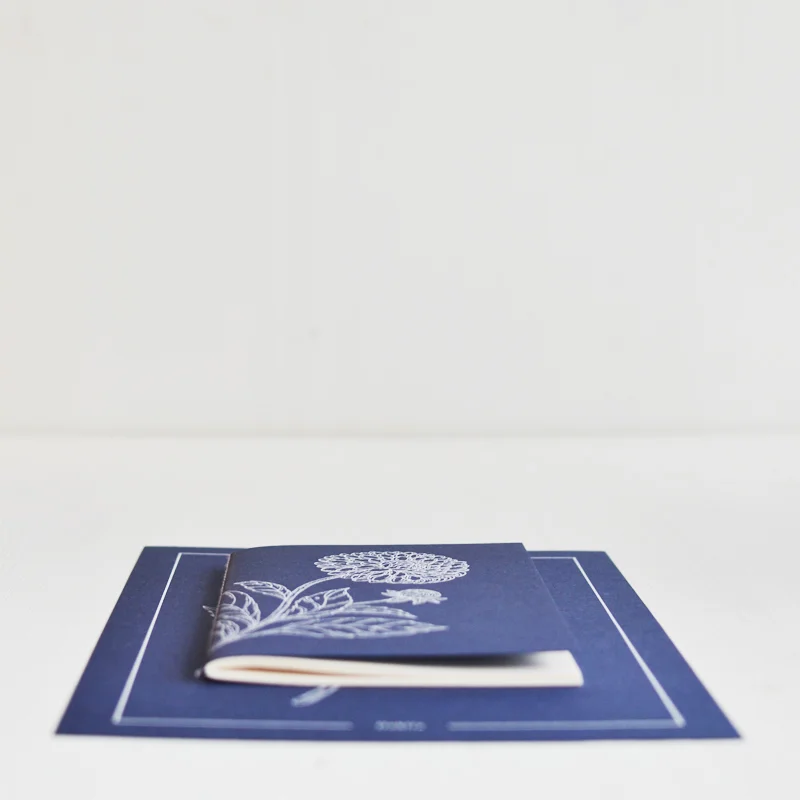 nosso-jardim-dahlia-pack