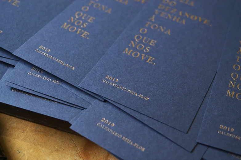 calendário beija-flor 2019