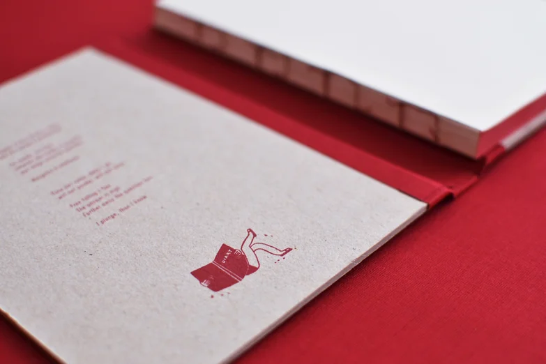 diary 3 beija-flor Catarina Sobral