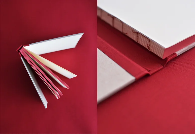 diary 3 beija-flor Catarina Sobral