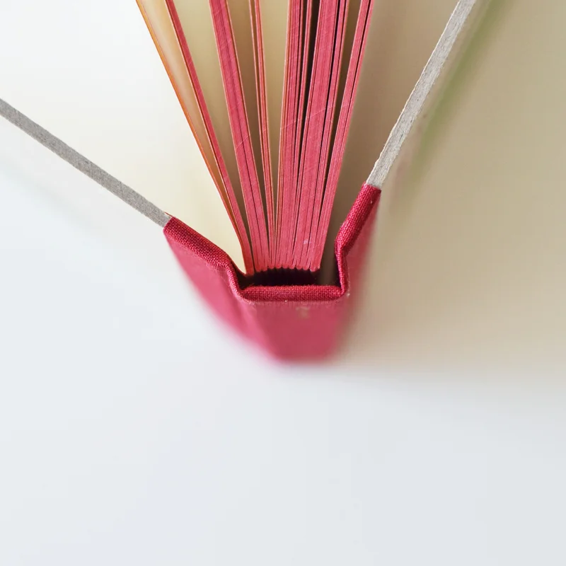 diary 3 beija-flor Catarina Sobral