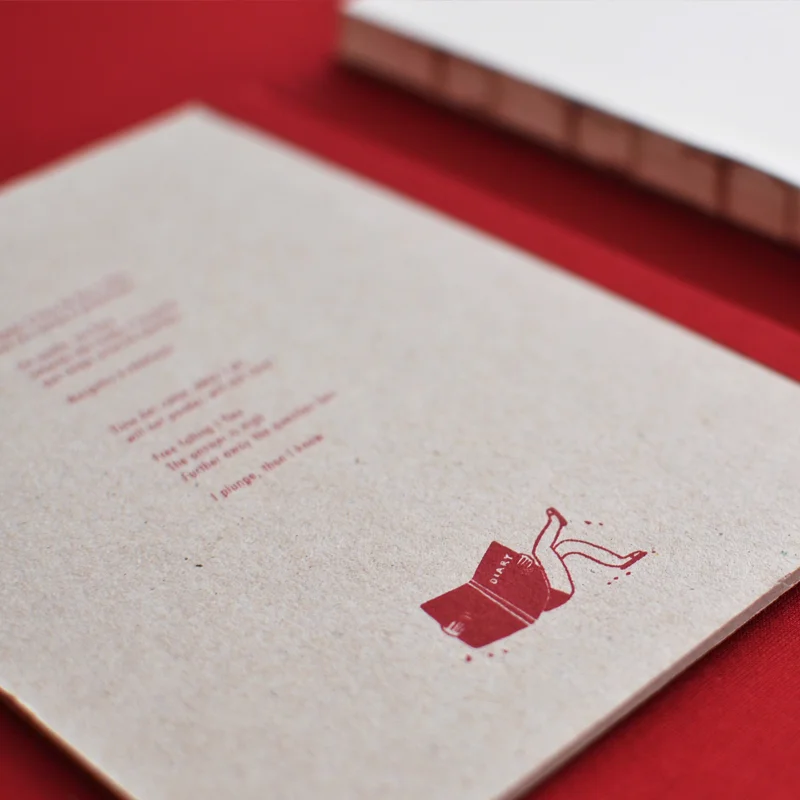 diary 3 beija-flor Catarina Sobral