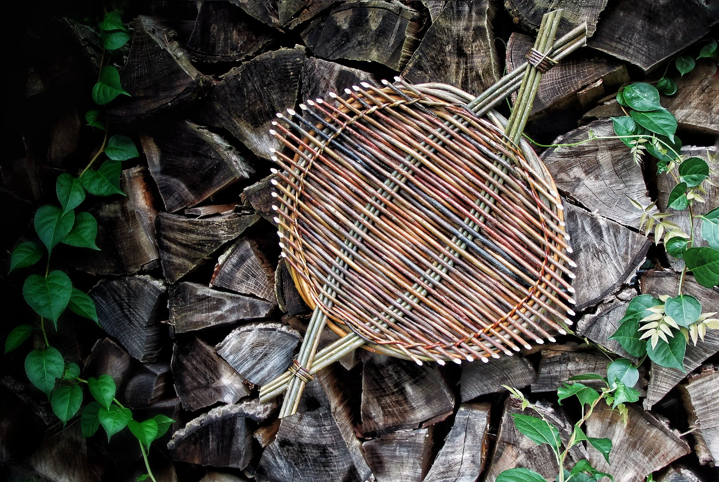 2017-08-18 04.37.56 1-01.jpeg