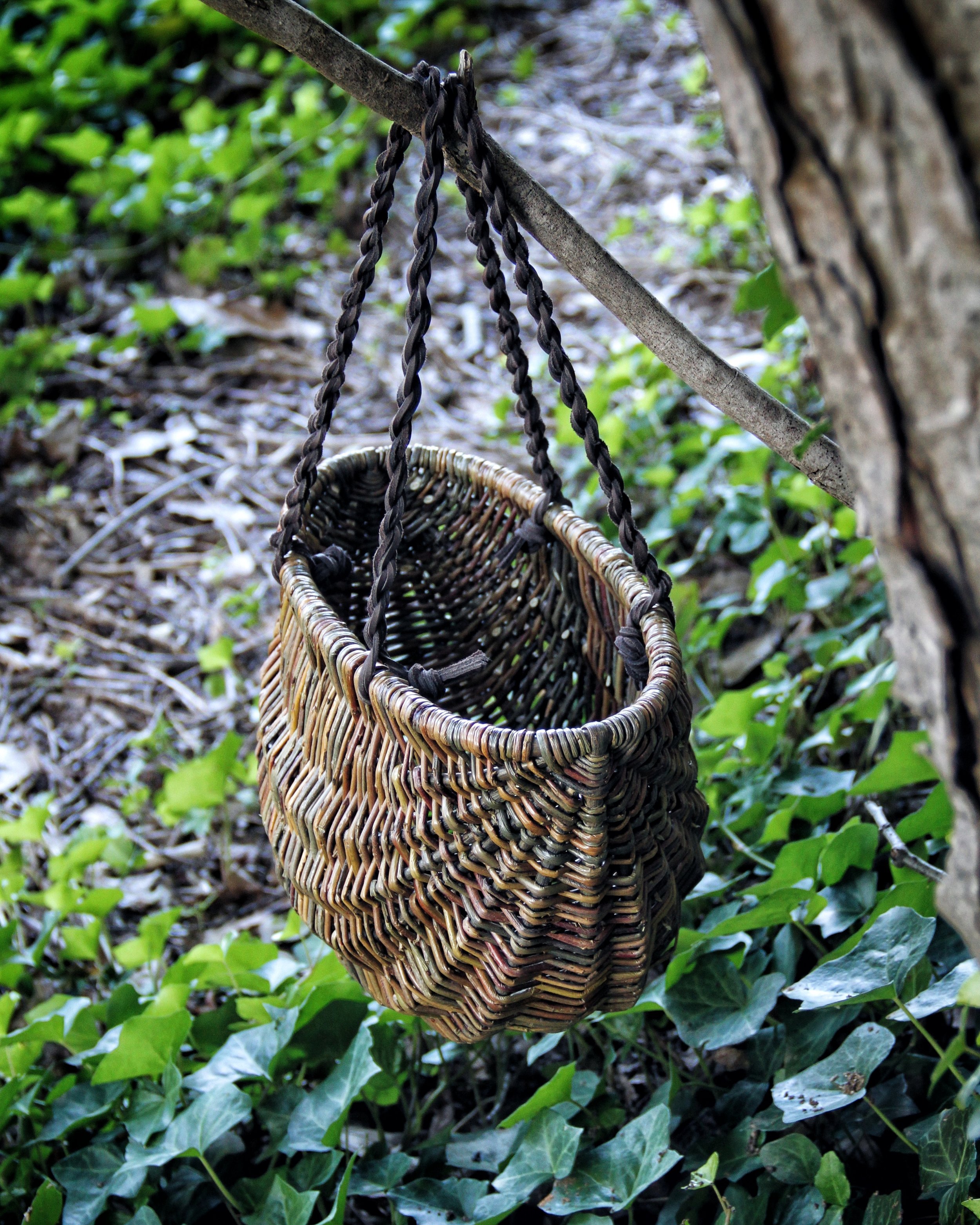 2017-08-08 07.07.21 1-01 (1).jpeg