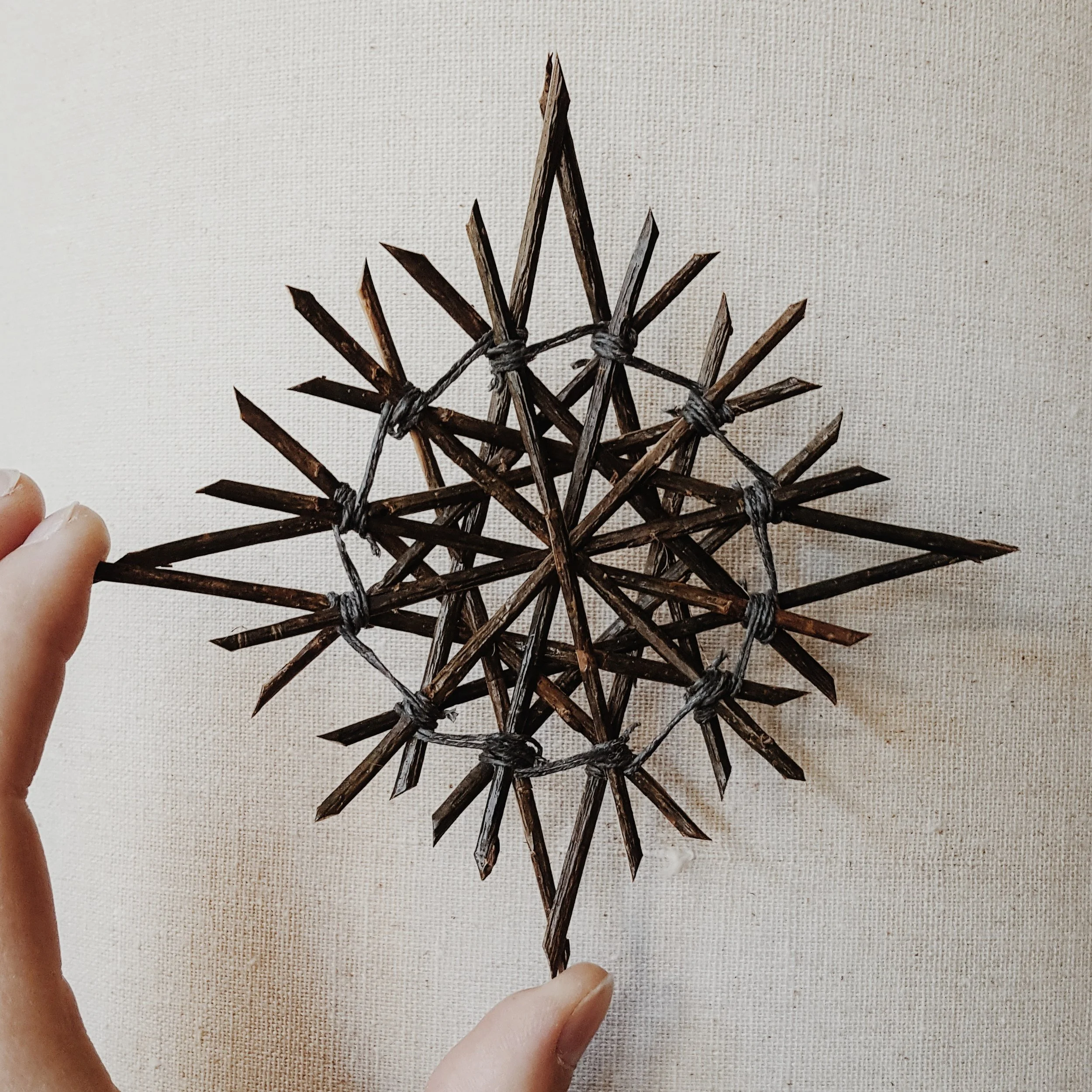 2017-11-17 08.49.52 2-01.jpeg