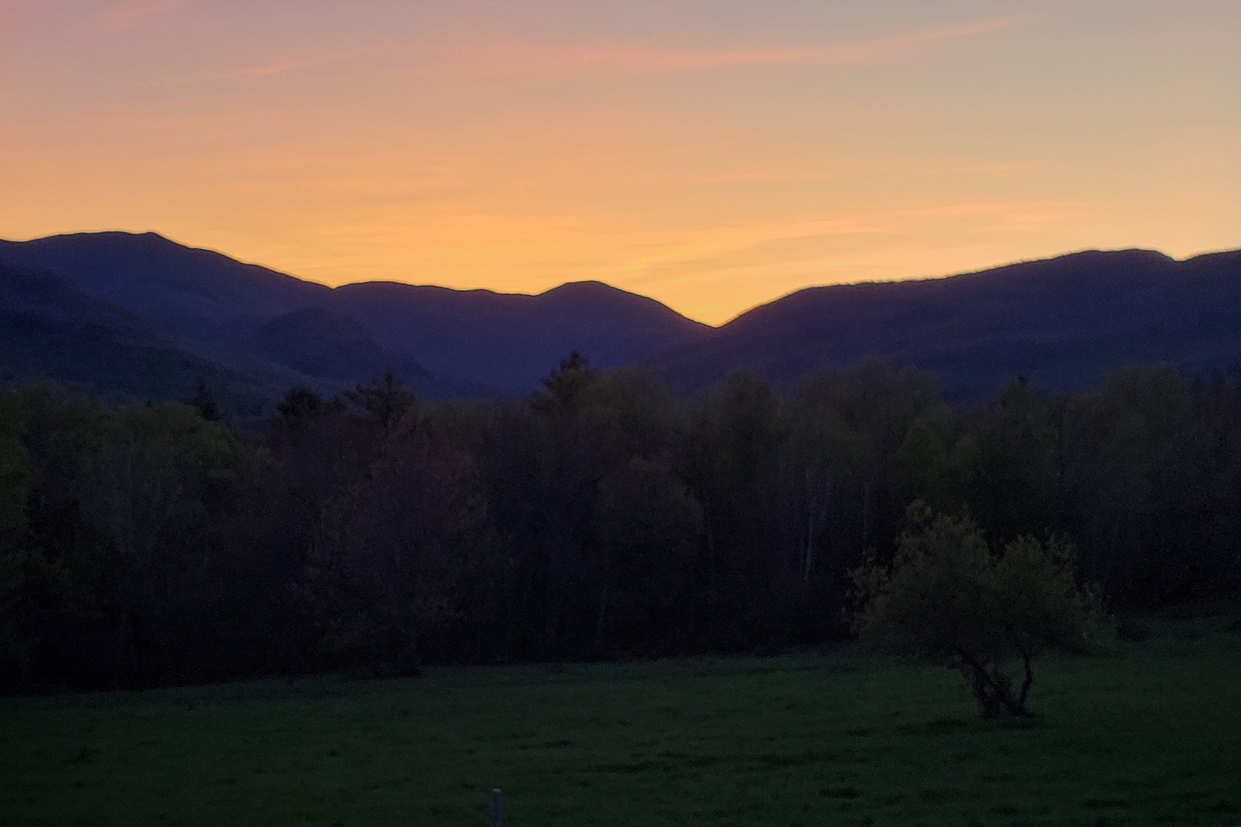 2018-05-18 08.45.59 1-01.jpeg