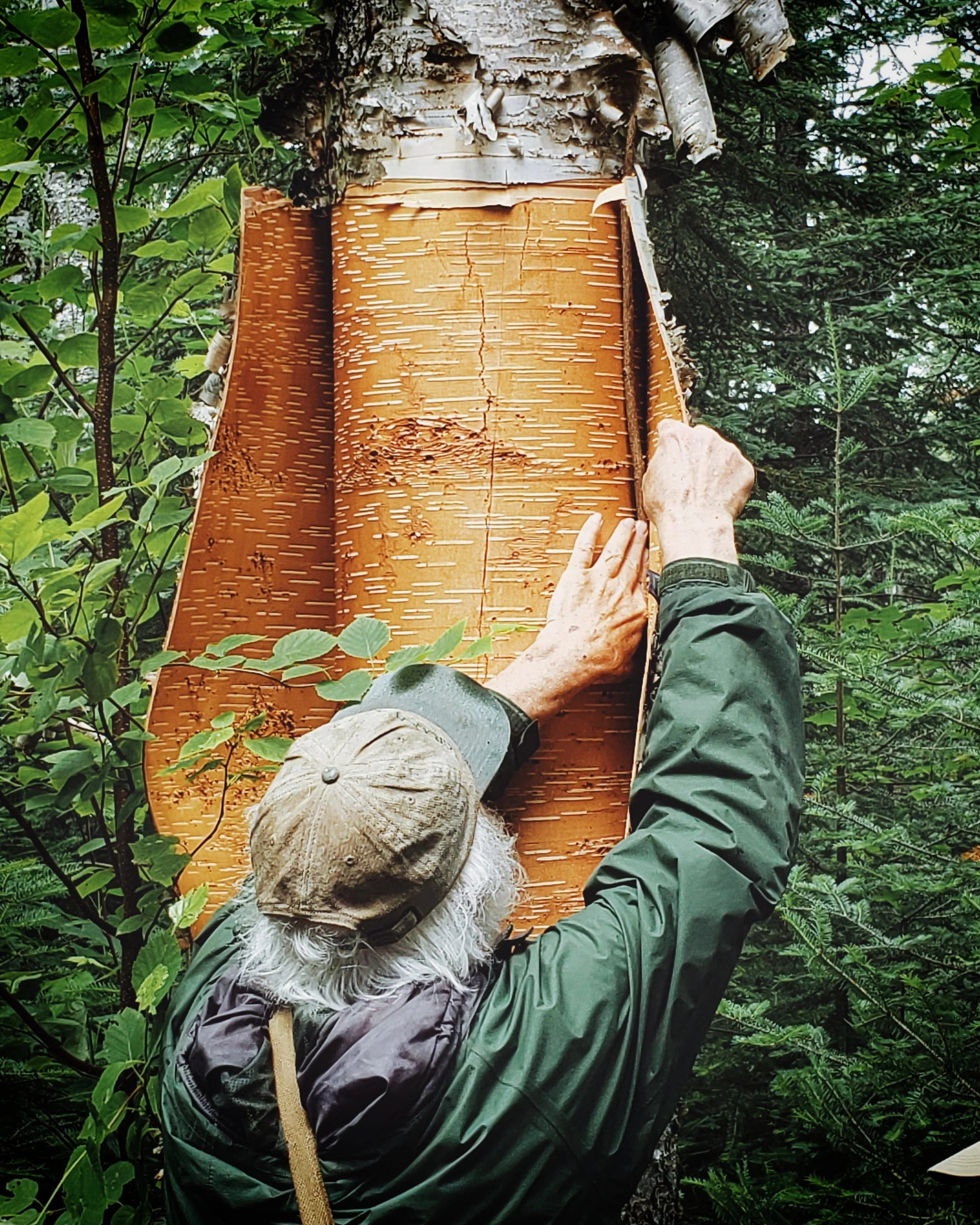 Birch Bark Basketry at the North House Folk School
