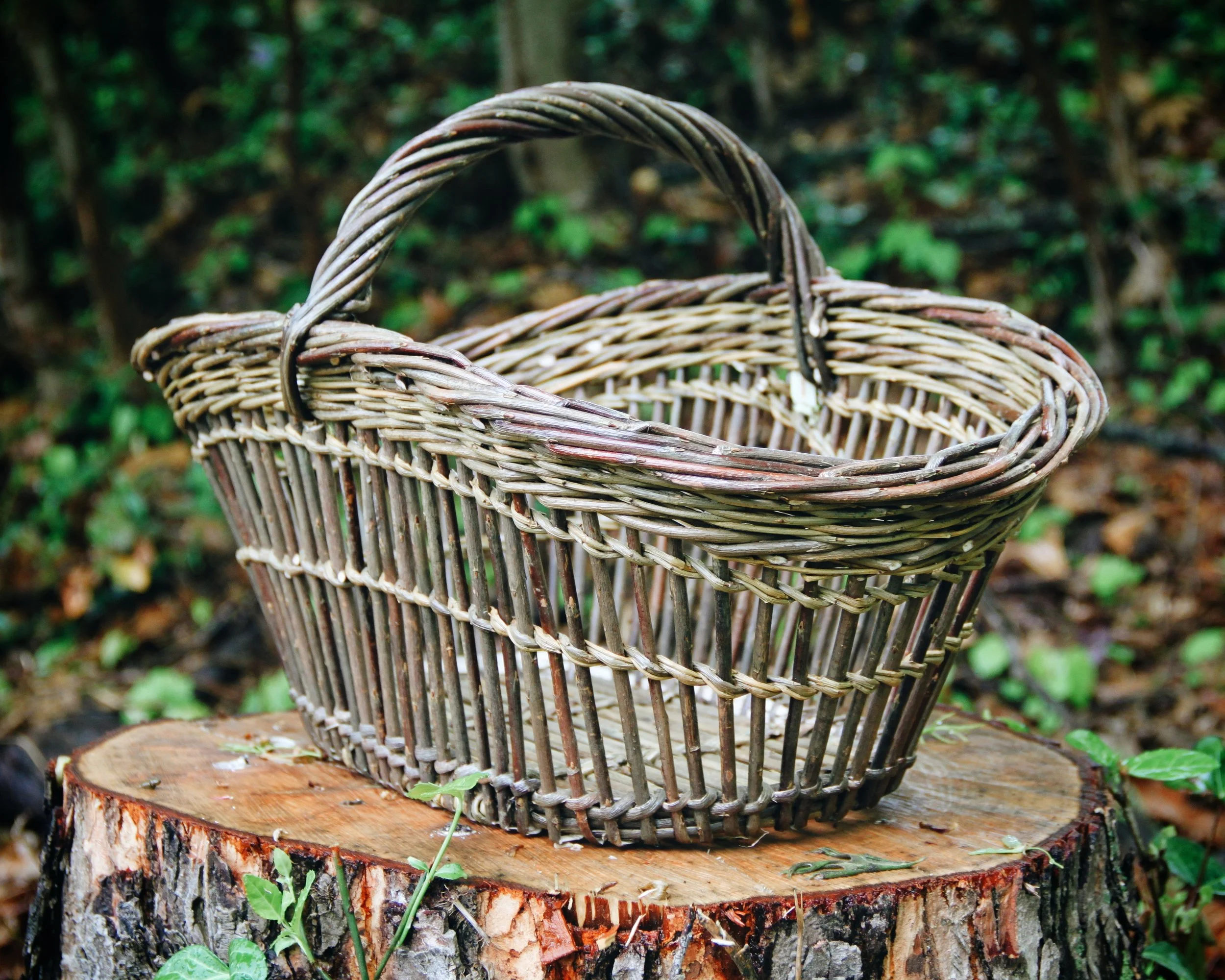 6 Days at Lakeshore Willows with Steen Madsen