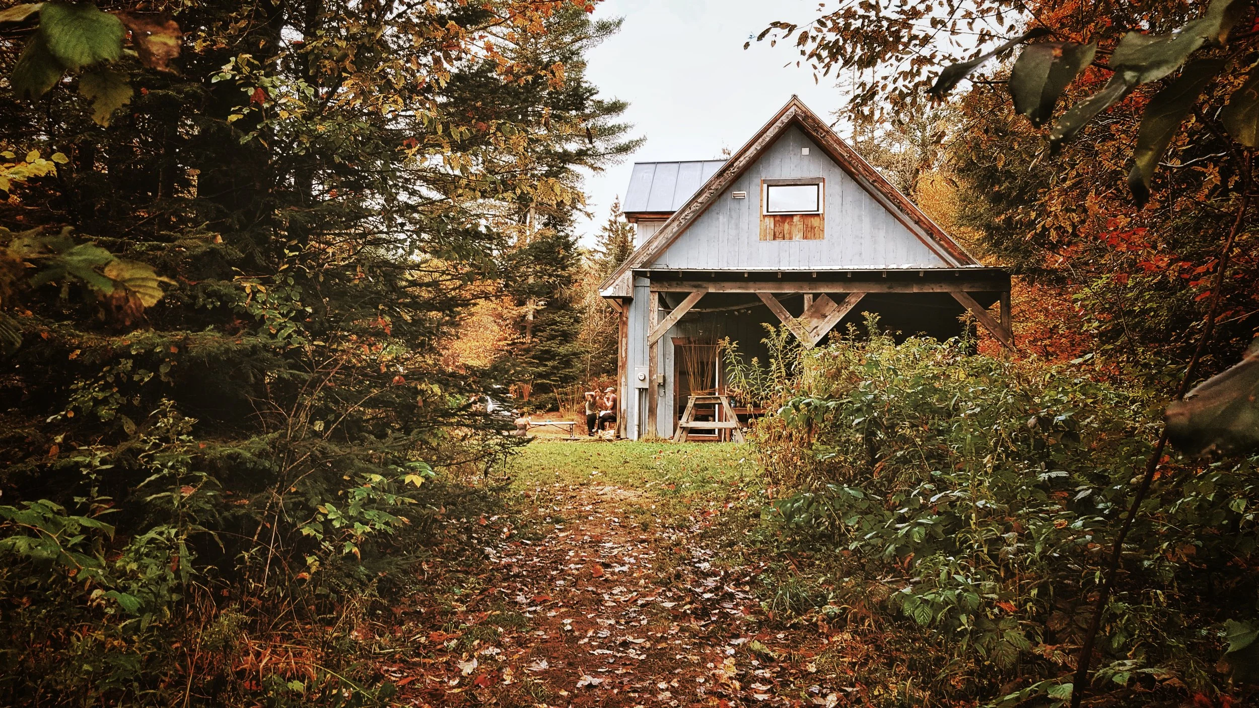 Willow Baskets with Nick Neddo at Roots School