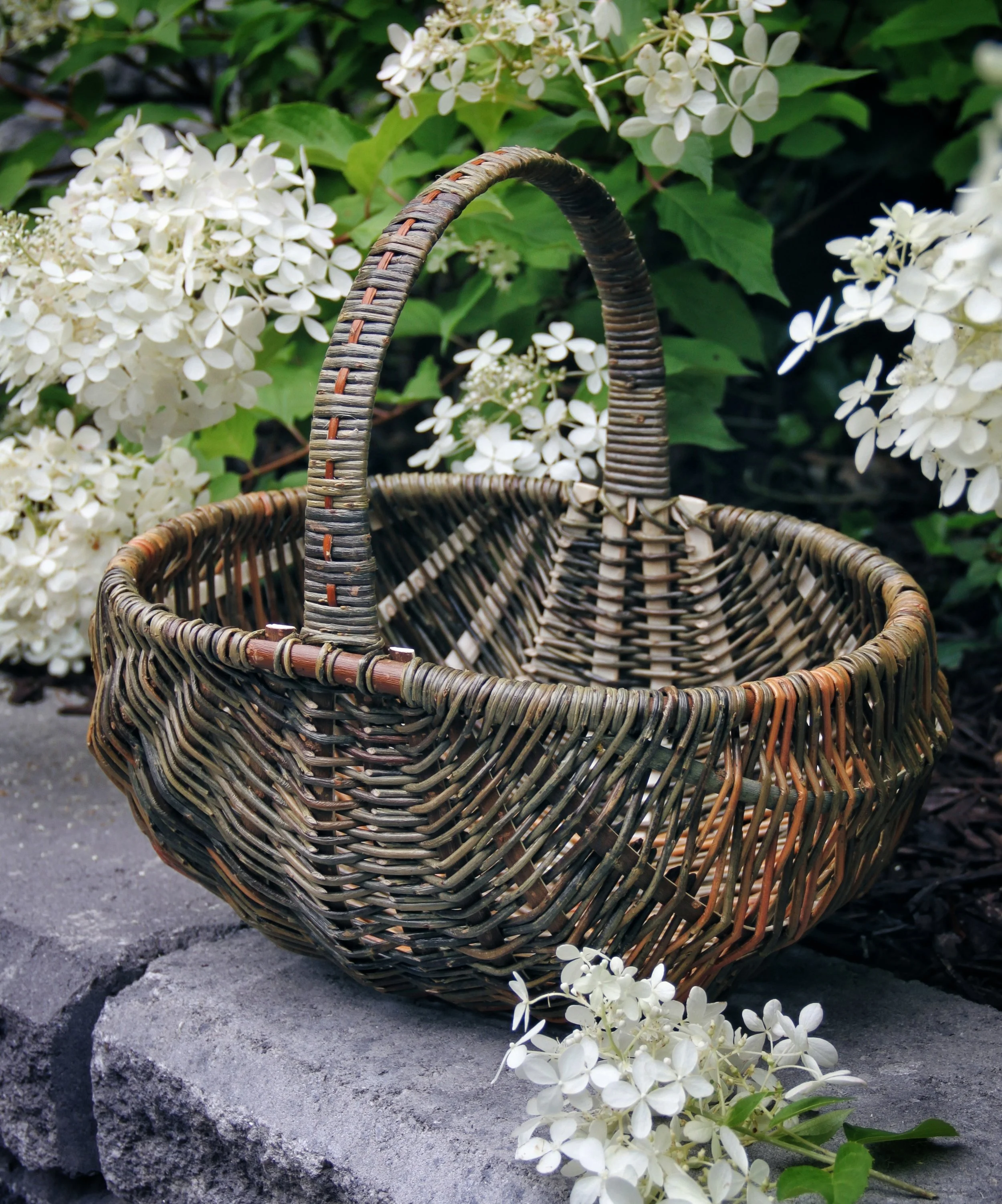 At the Branch Ranch with Mel Bastier