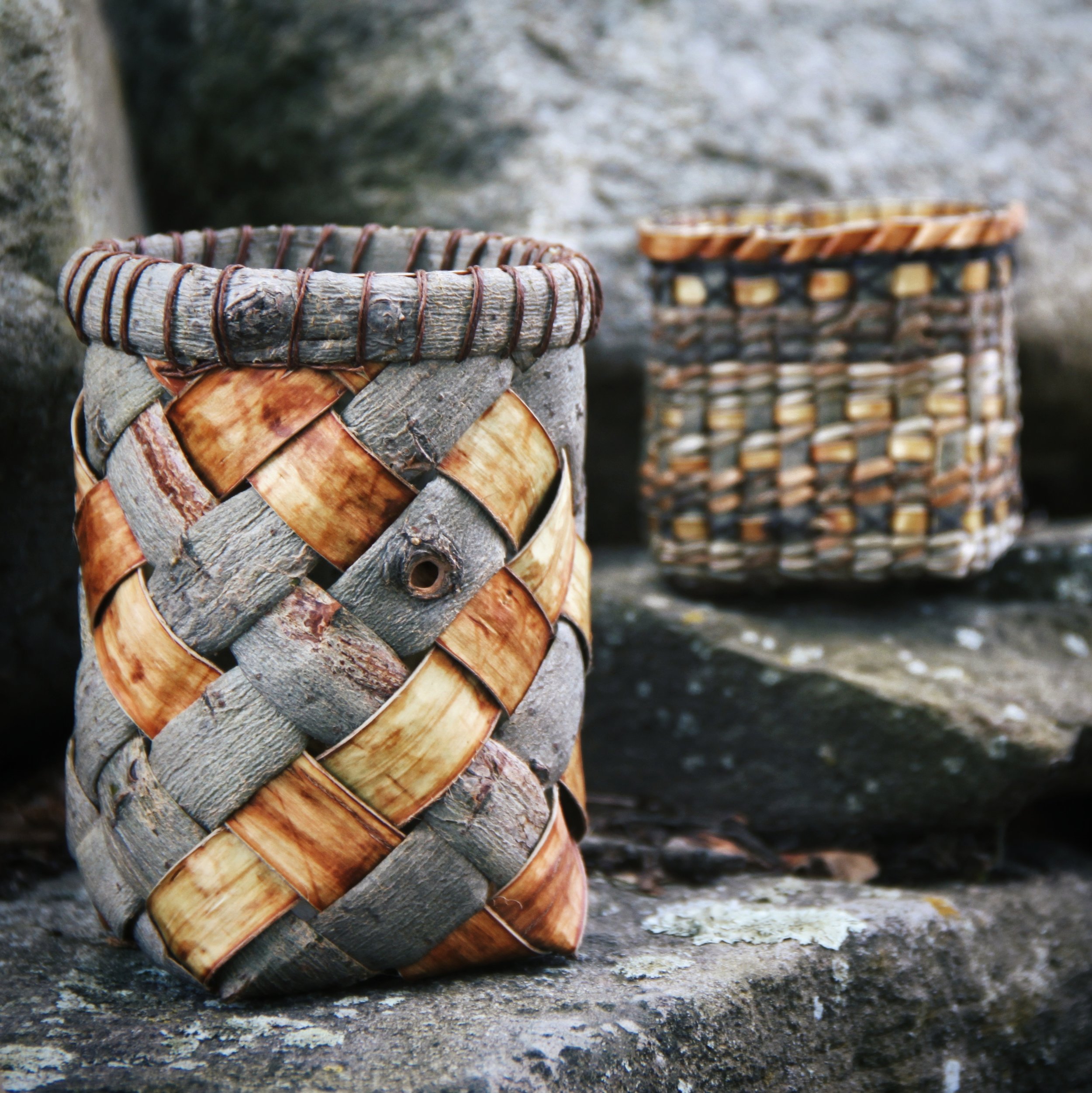 Introduction to Willow Bark with Lene Rasmussen