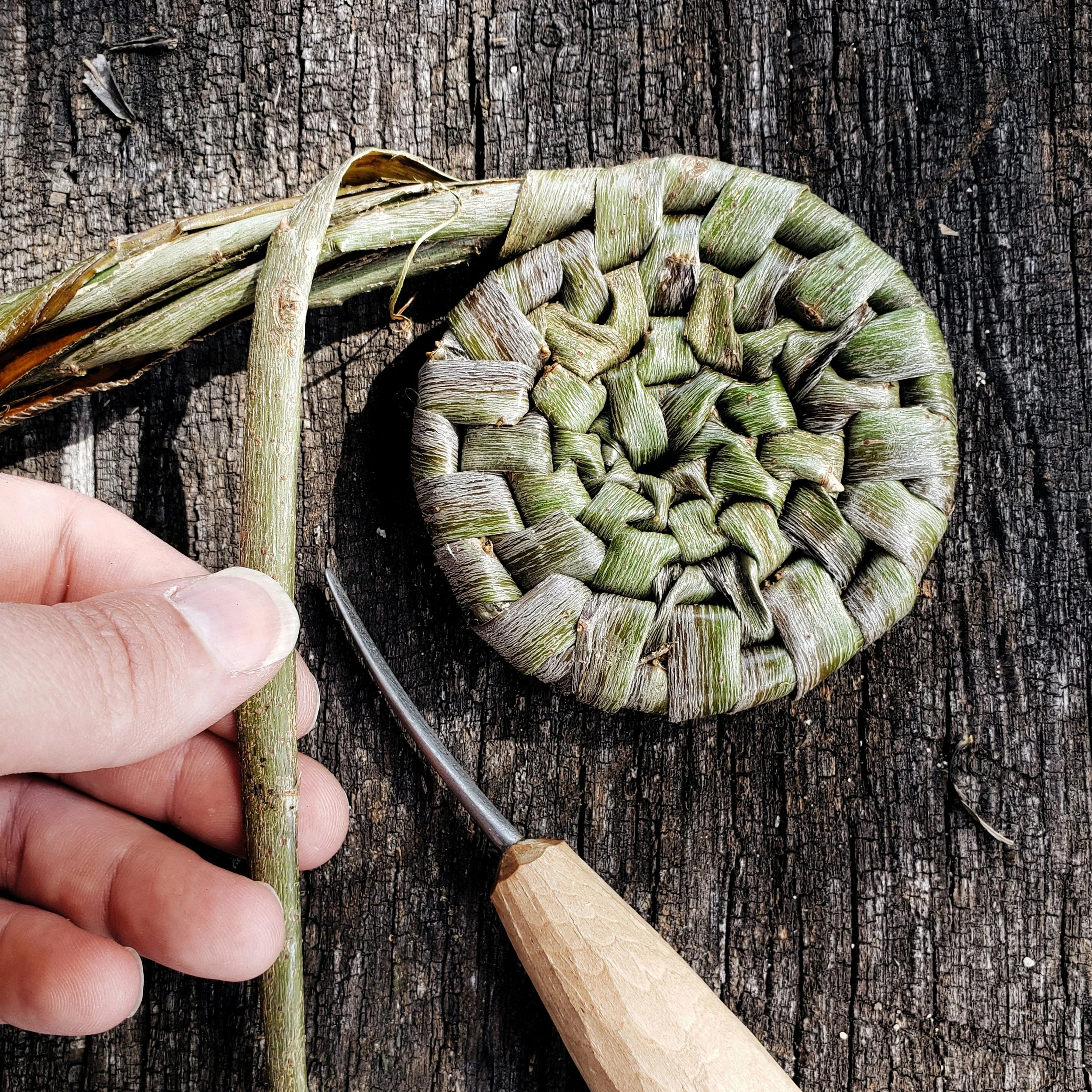 Willow Gathering 2019 with Maggie and Steen