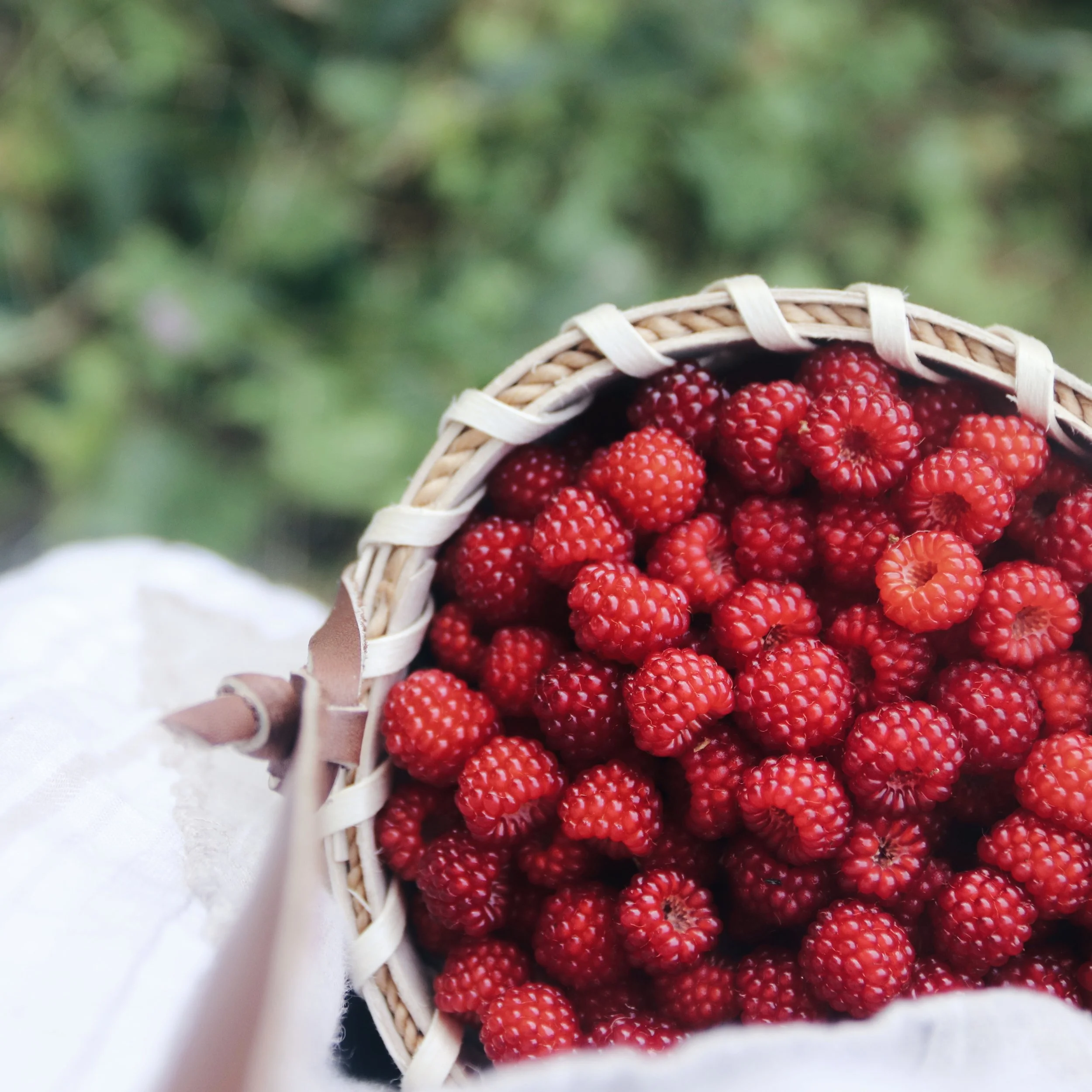 2019-07-07 04.58.53 1-01.jpeg