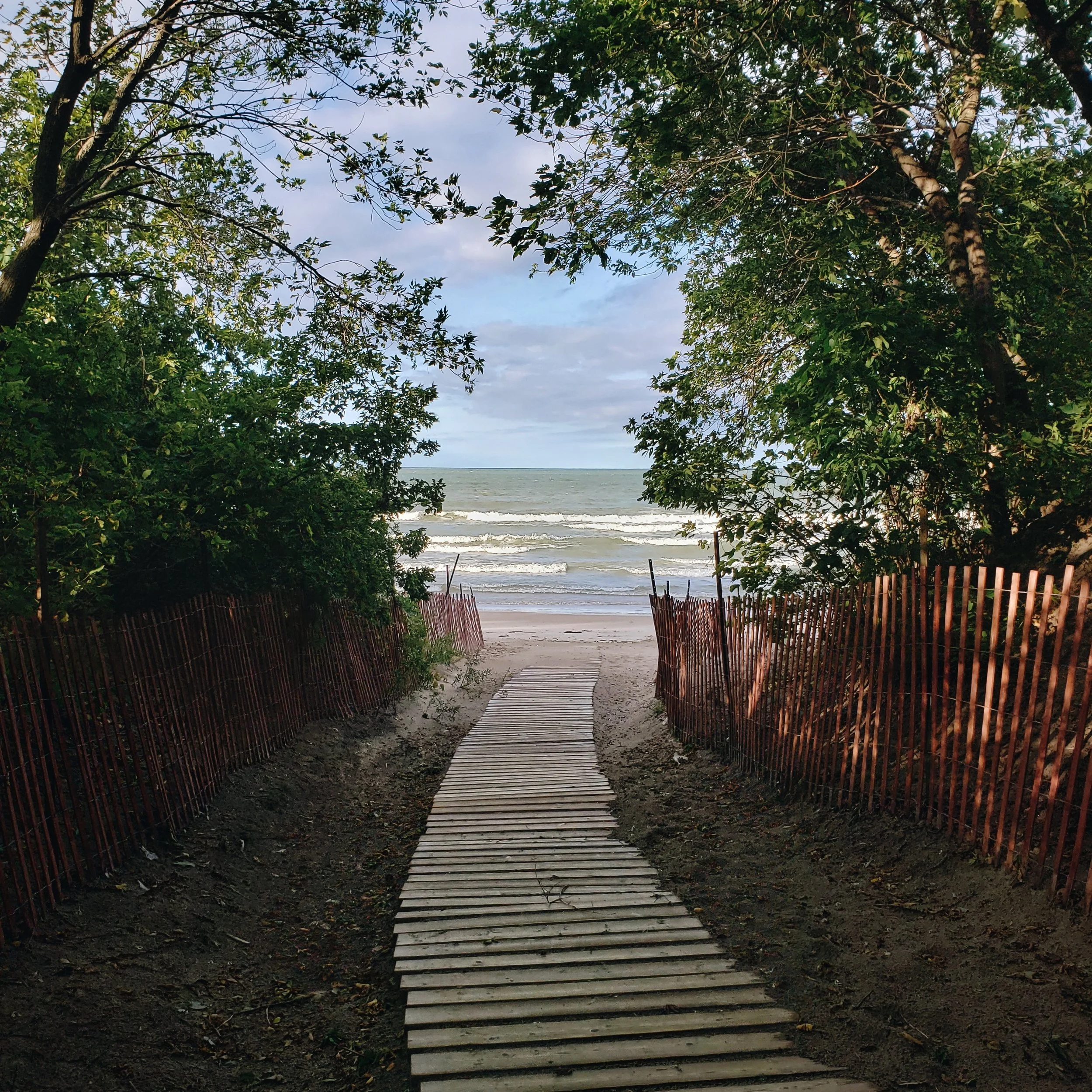 Lakeshore Willows with Steen Madsen #3