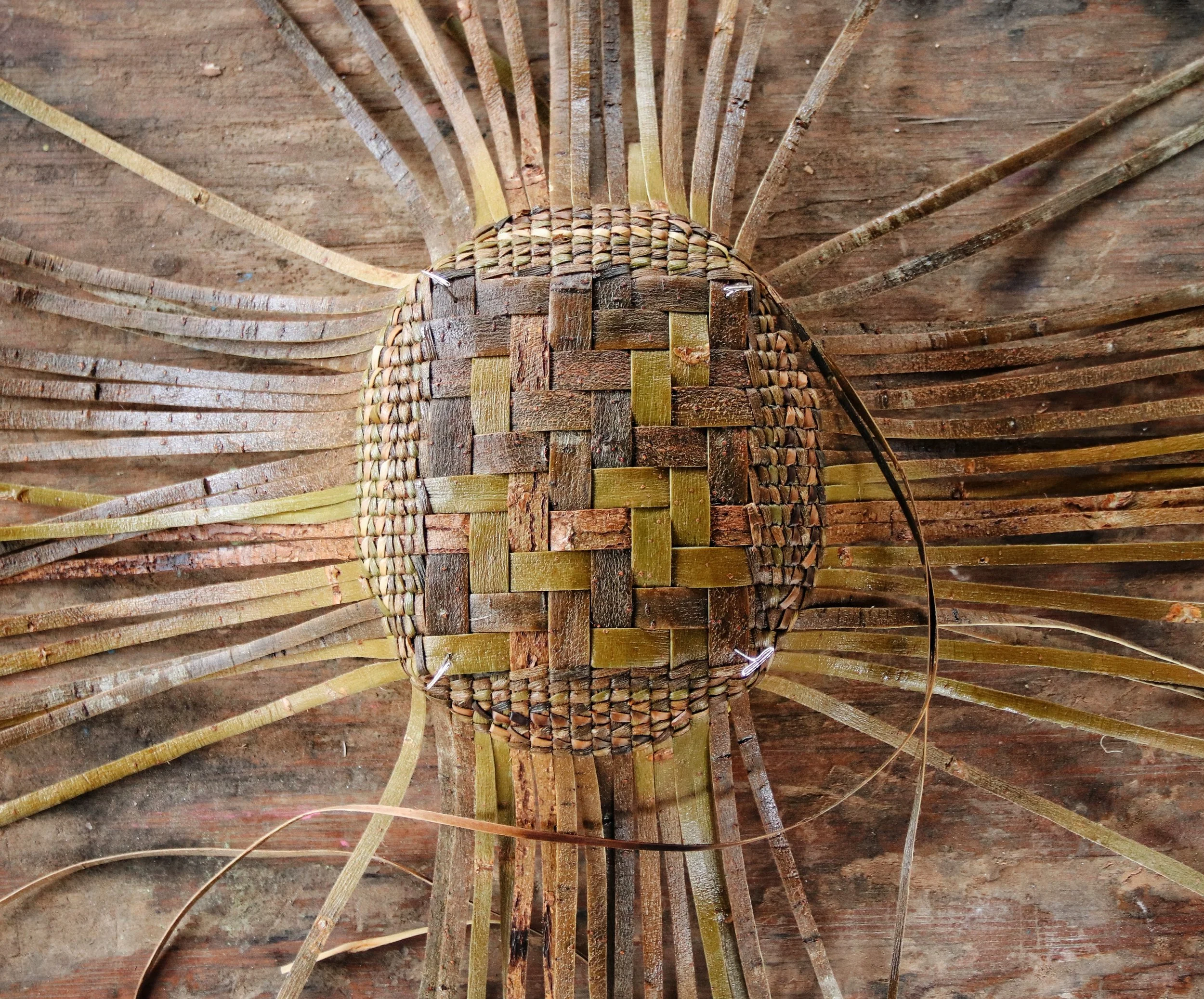 Willow Bark Basketry with Judy Zugish at the John C. Campbell Folk School