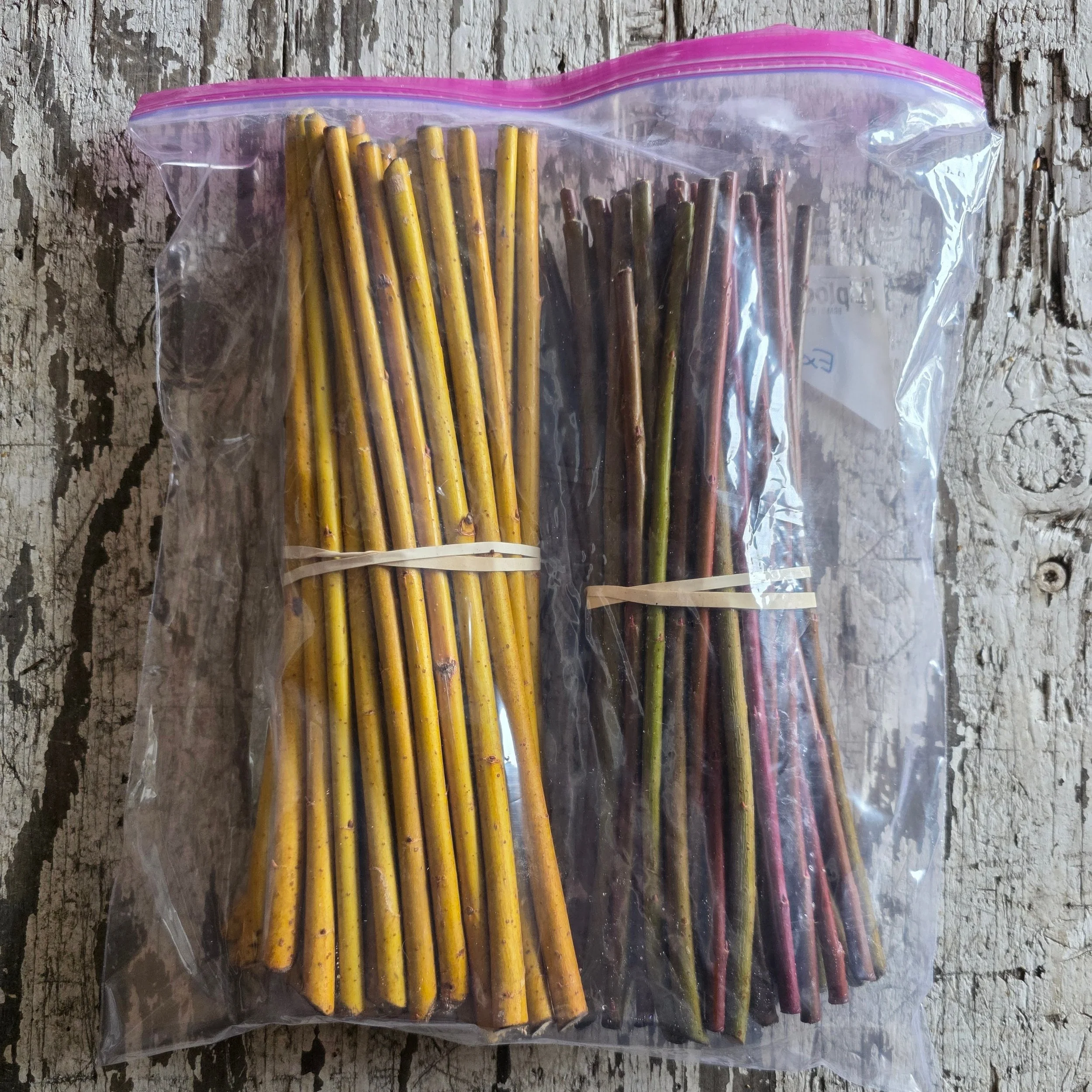 50 Frances Red/ 50 Flame