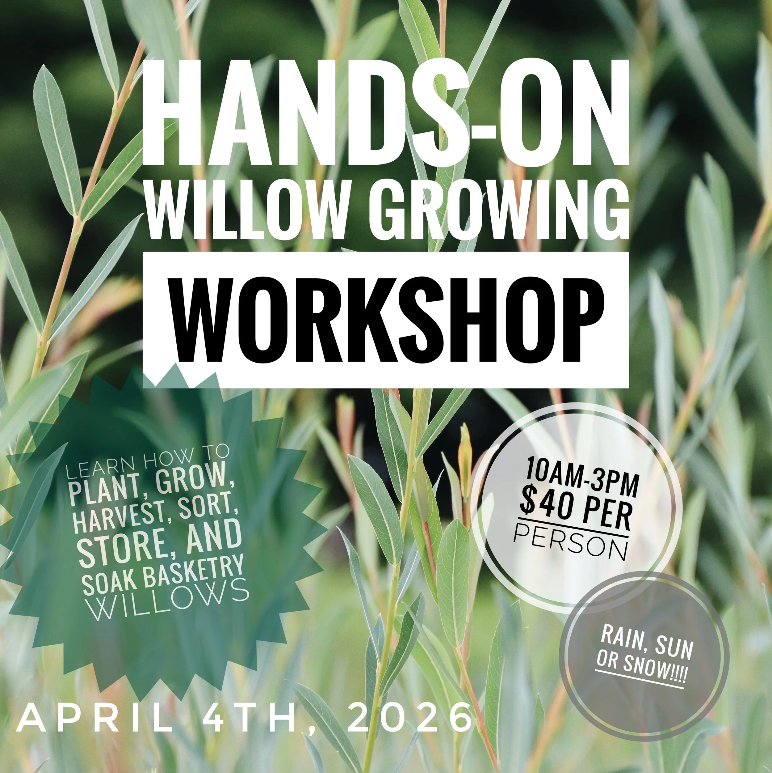 COMING SOON - April 4th, 2026 Workshop