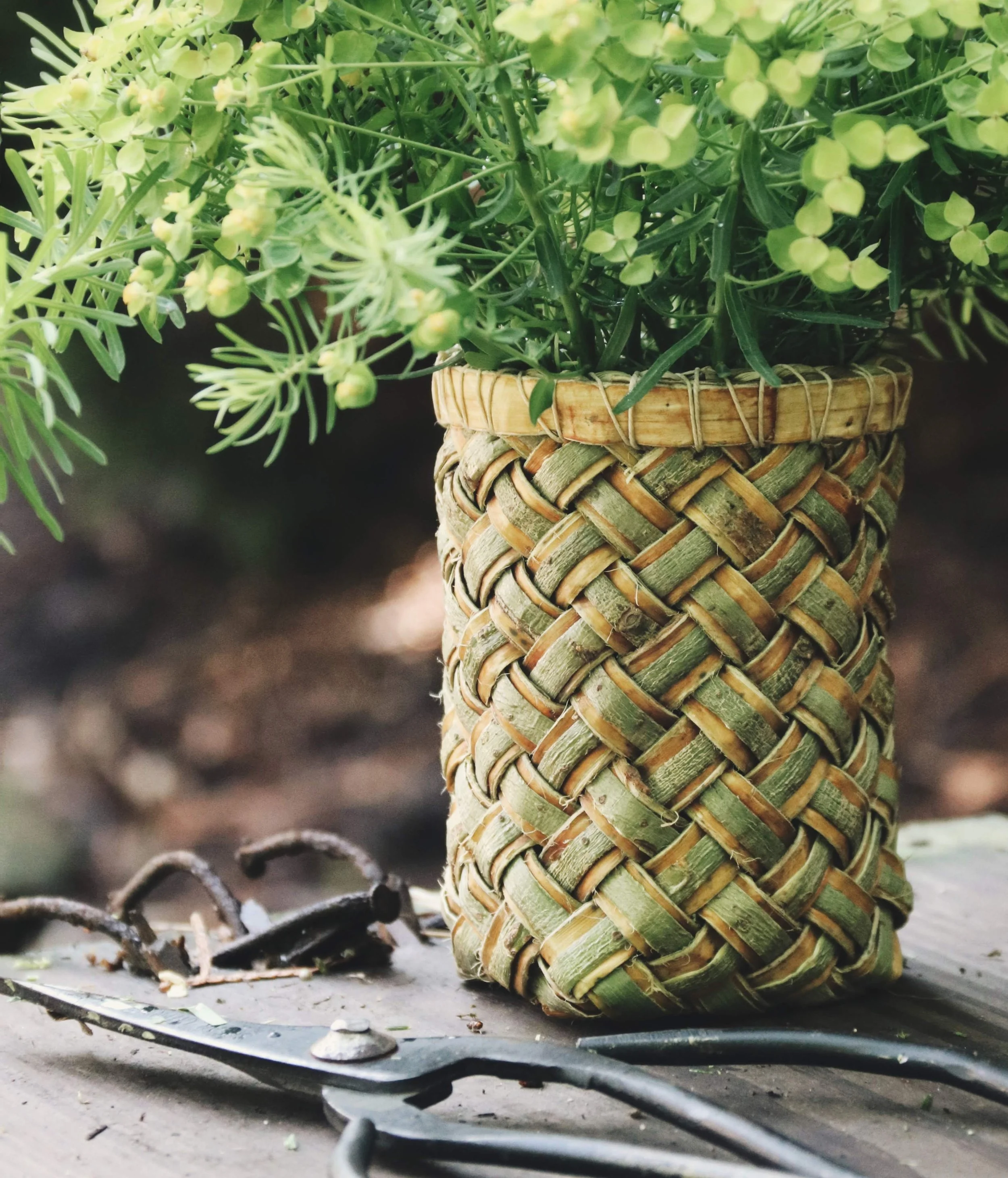 2019-05-31 09.22.52 1.jpg