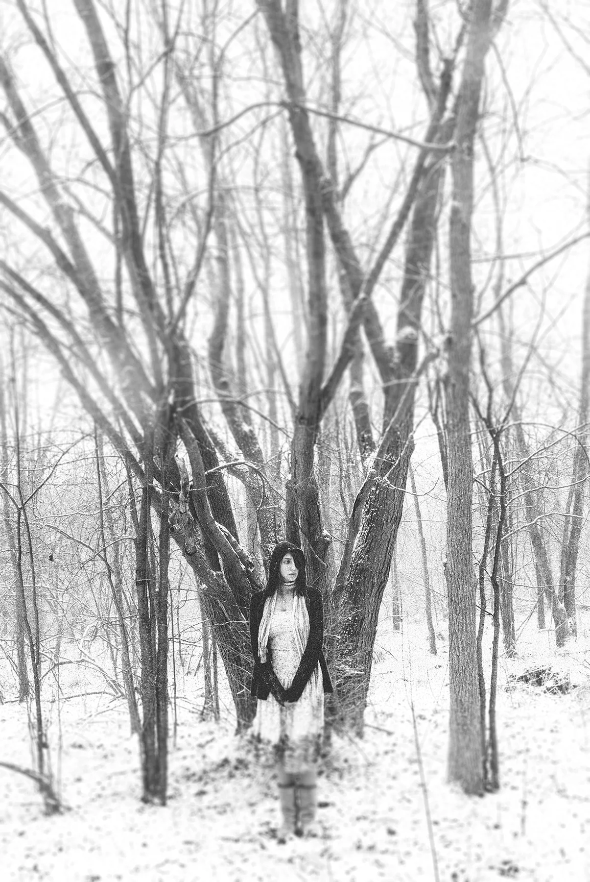 DSC_0021 copy.jpg