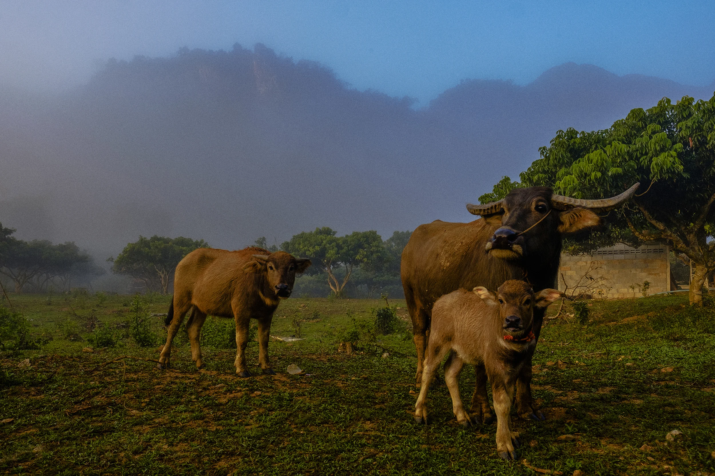 _DSF6299-HDR1.jpg