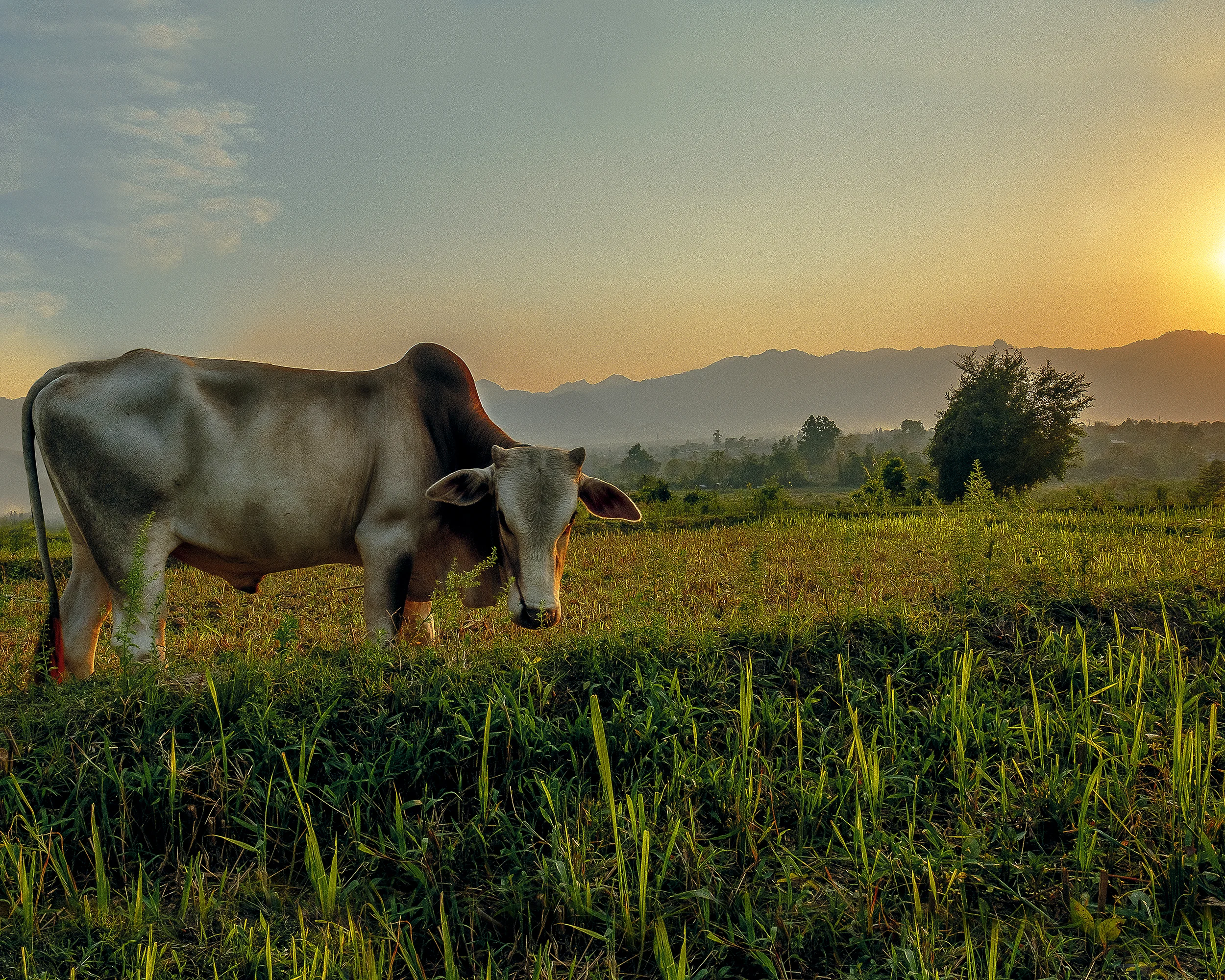 DSCF5412-HDR.jpg