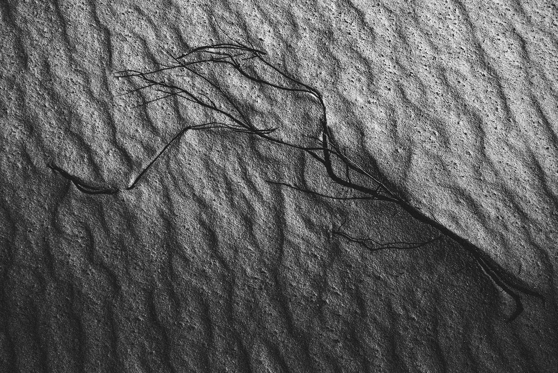 Document detail_14 copy.jpg