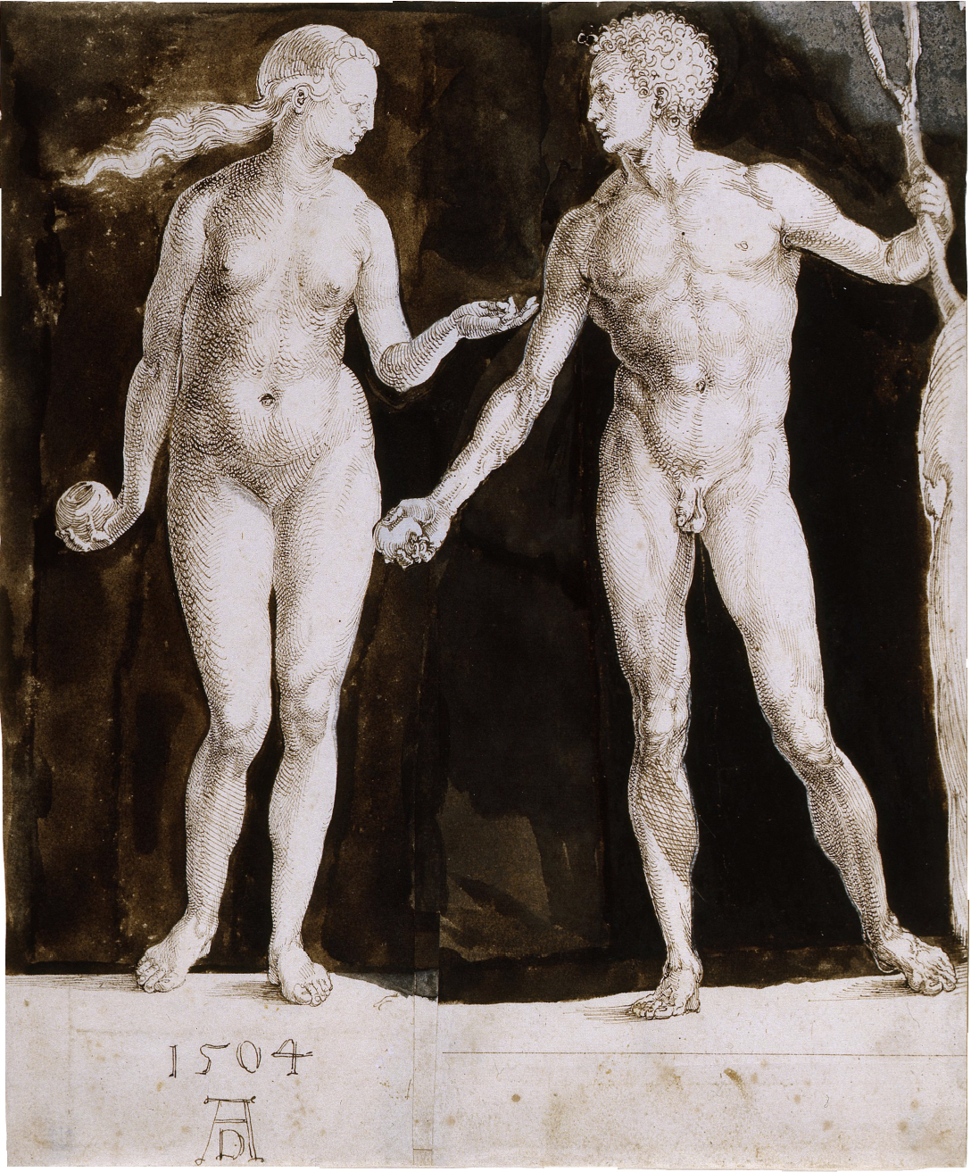 Albrecht Dürer- Adam and Eve , 1504, brown ink and white corrections on paper, 242 x 201mm, courtesy of the Morgan Library and Museum