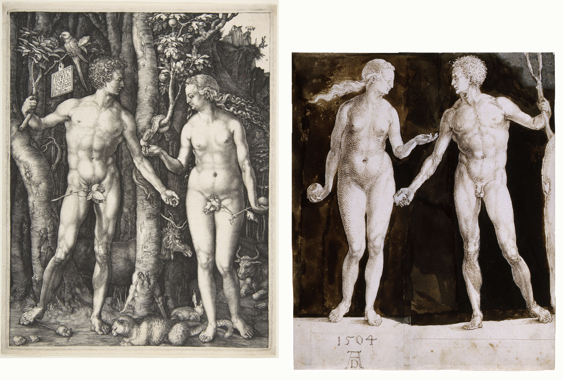 Side-by-side comparison with the Adam figures on the same plane at the same height