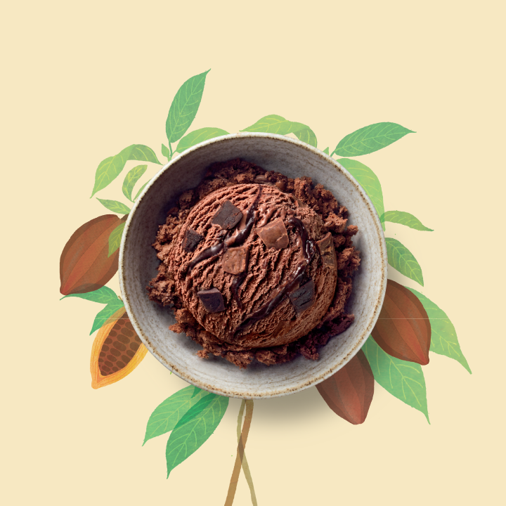 lucia_peterson_chocolate_overload.png