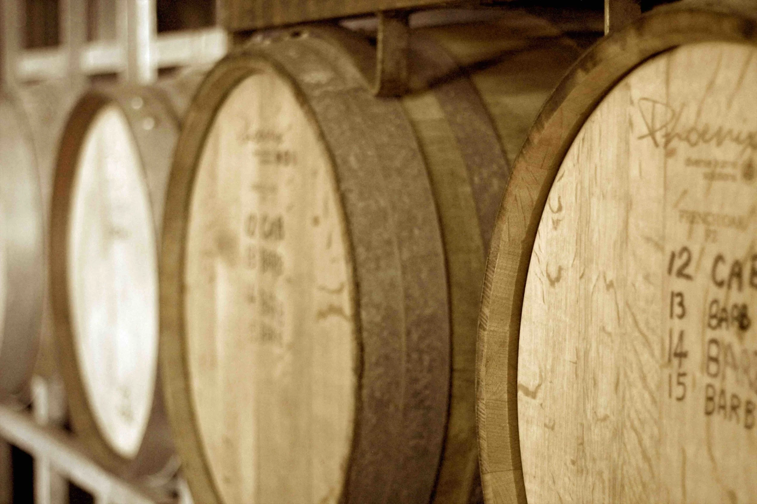 IMG_7974 copy-min.jpg