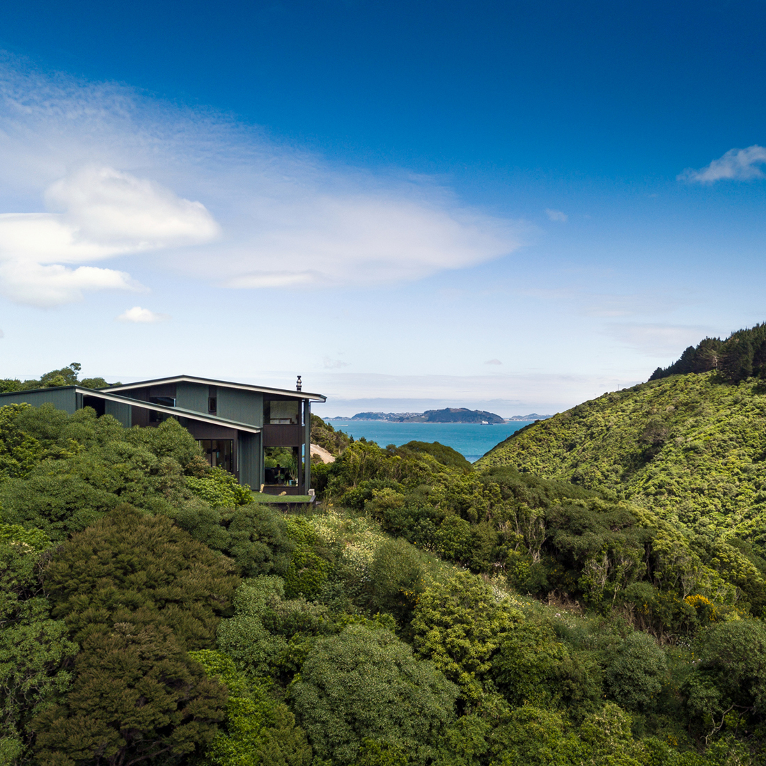 Korokoro Bush House 2017