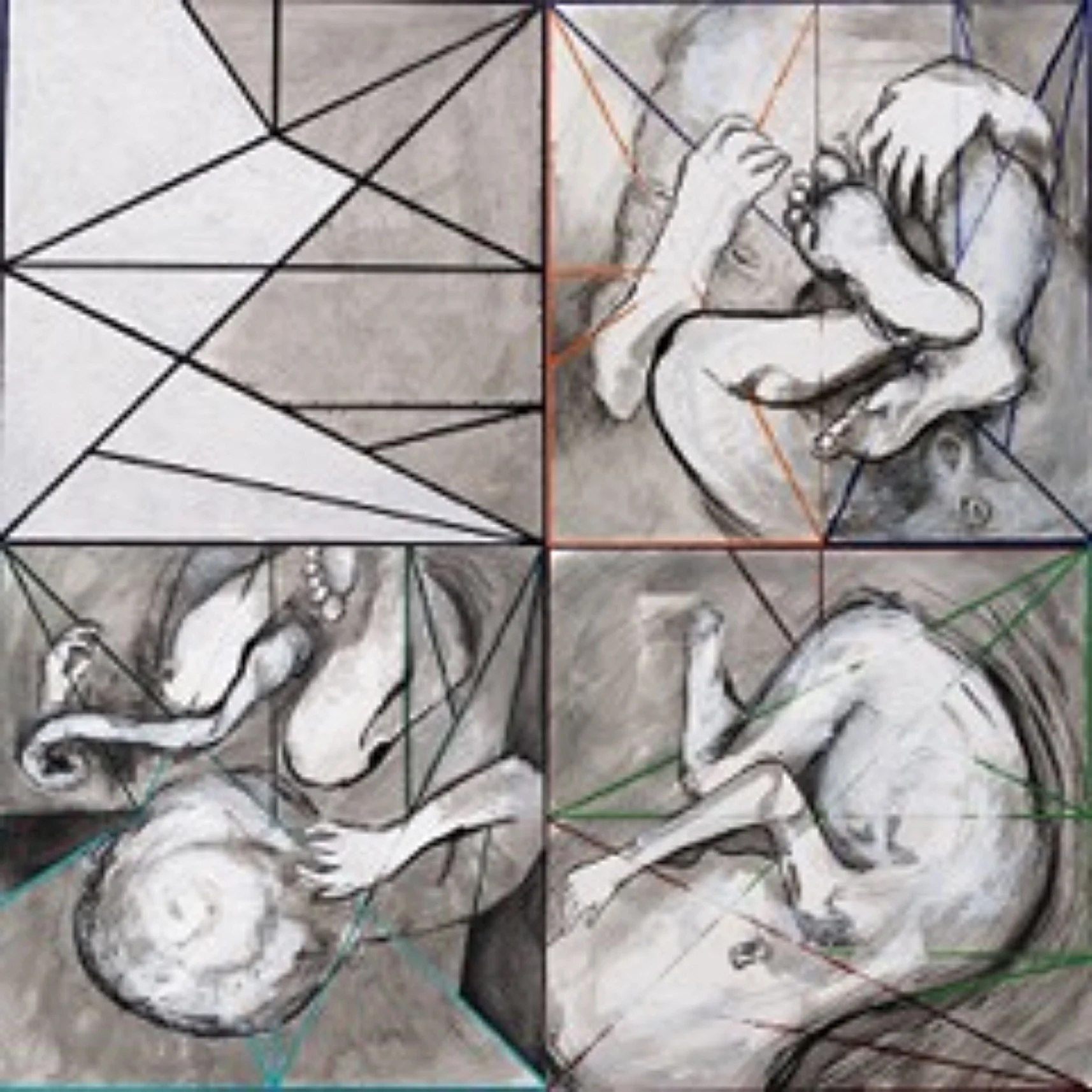 Interior Angles (installation view)