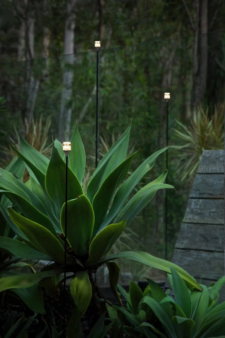 lightworks+firefly+light.jpg