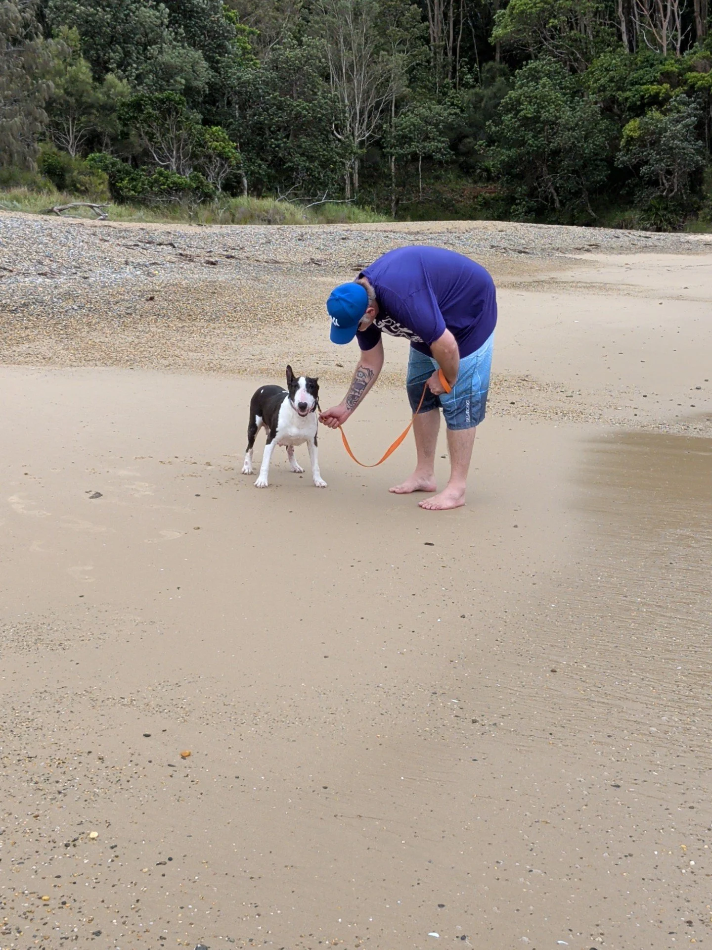 Dog Diary - End of Week 6 My New Life