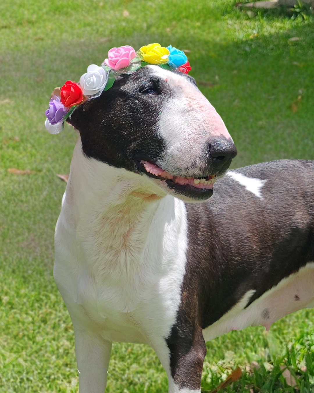 Sara Flowers.png