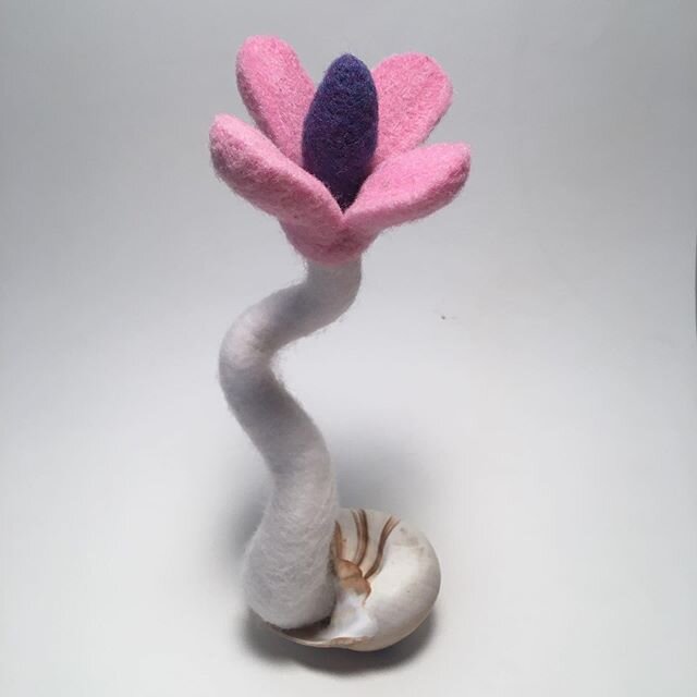 Continuing my shell series today. . . . .  #fiberart #mixedmedia #shell #flower #abstractart #contemporarysculpture #sculpture #organicart #natureisbeautiful #needlefelting #wool #softsculpture