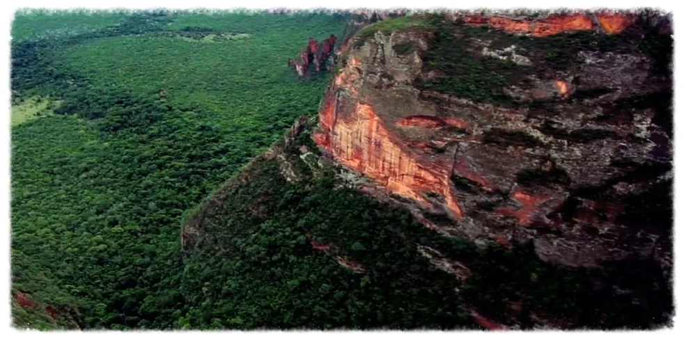 WWF UK PANTANAL FILM 1920x1080