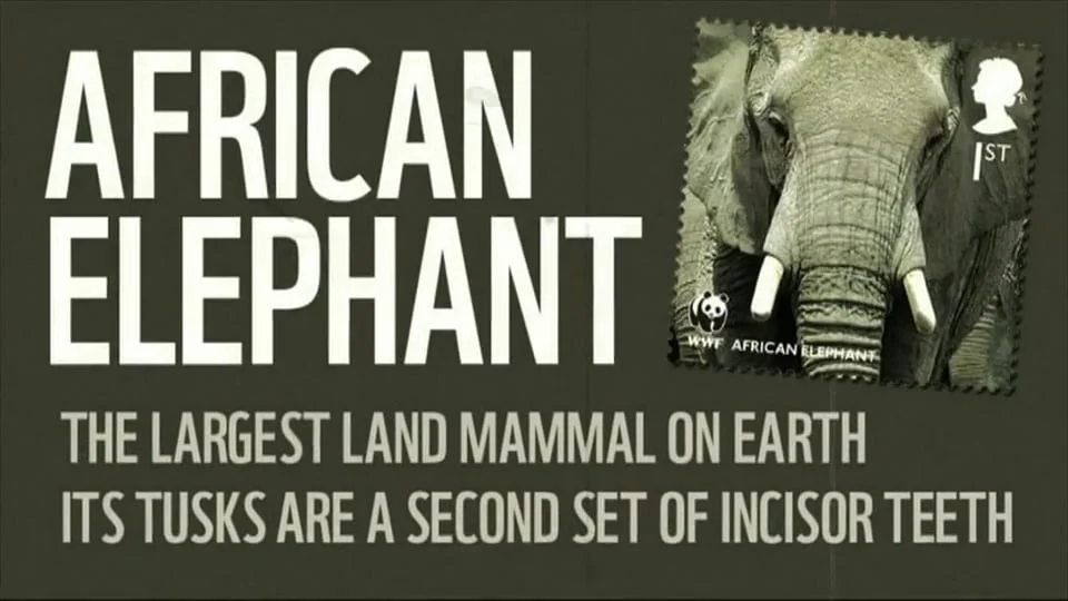 1024x576 WWF INTELLIGENT STAMP WITH NEW VOICEOVER h264