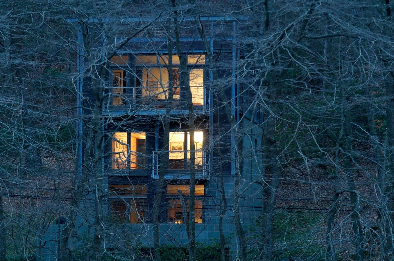 Tree House / Cold Spring Harbor, NY