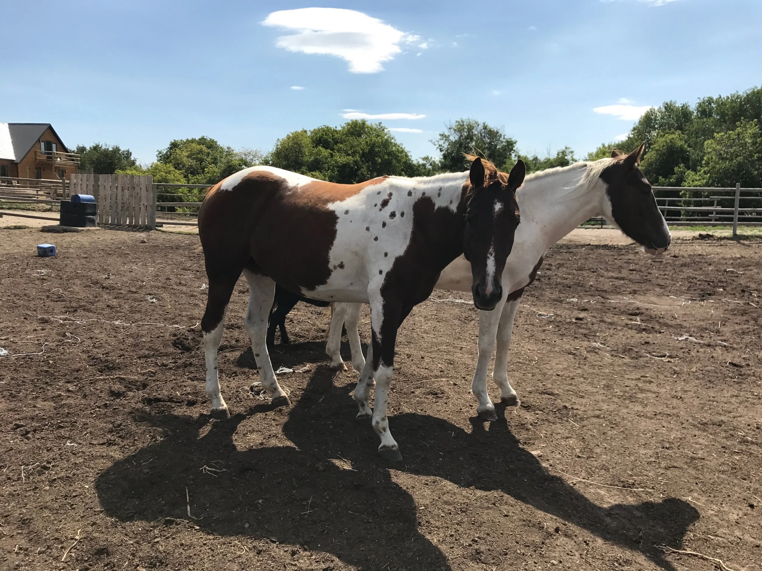 MEMORIAM — The Redhorse Ranch