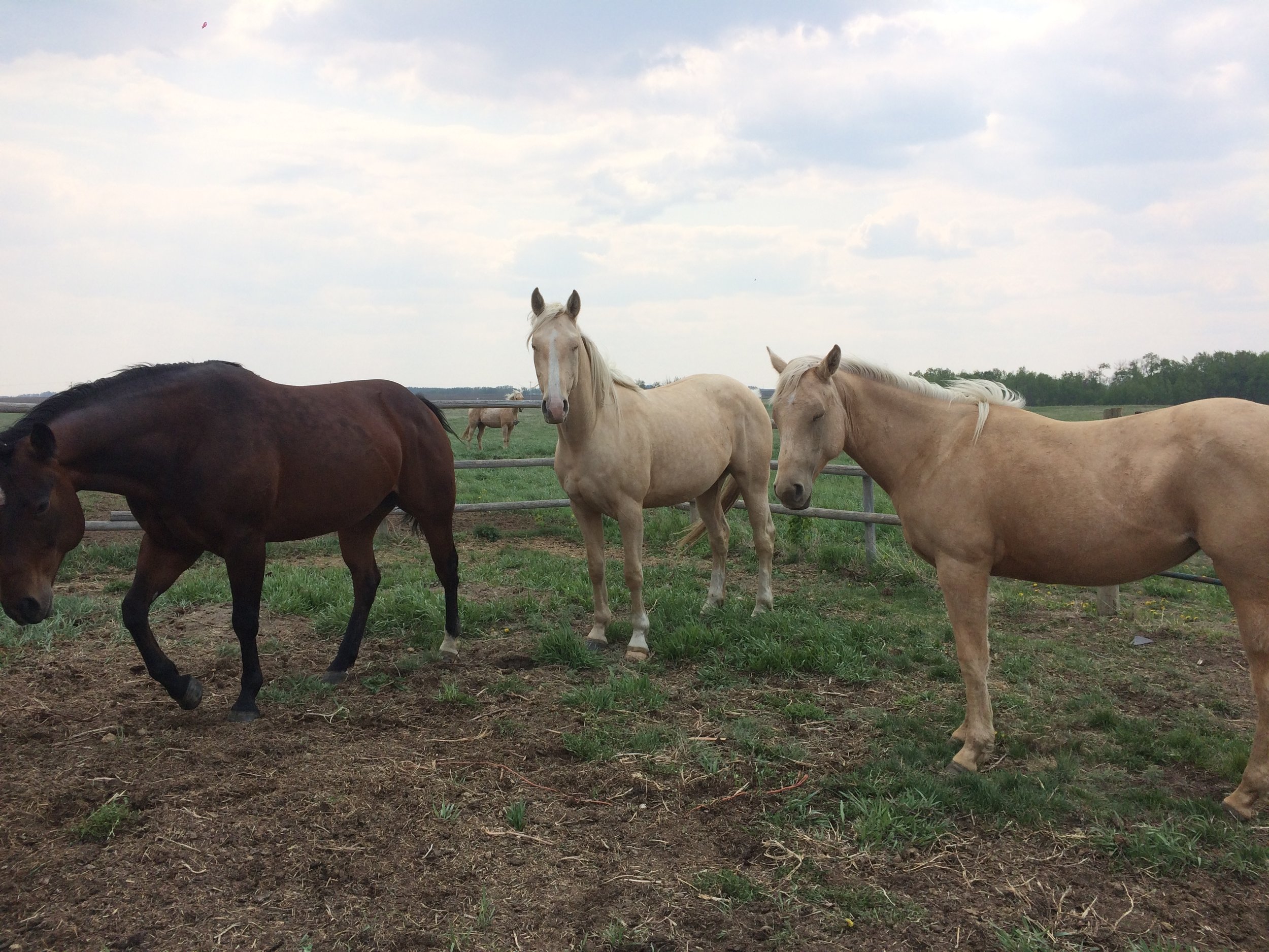 Chex on right.jpeg